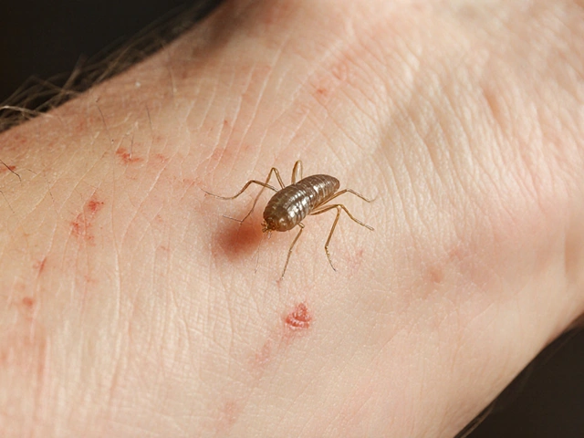 Emerging Treatments for Sarcoptes scabiei (Scabies) - 2025 Outlook